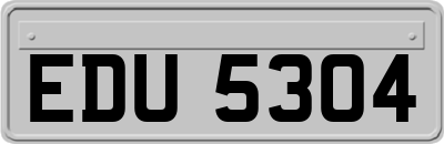 EDU5304