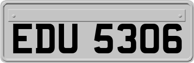 EDU5306