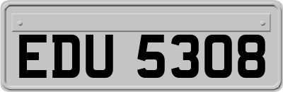 EDU5308
