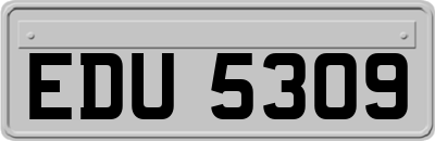 EDU5309