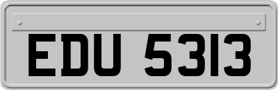 EDU5313