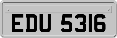 EDU5316