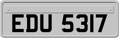 EDU5317