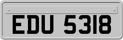 EDU5318