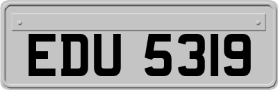 EDU5319