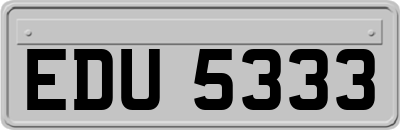 EDU5333
