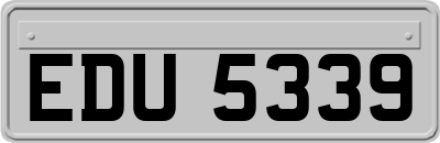 EDU5339