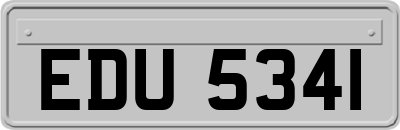 EDU5341