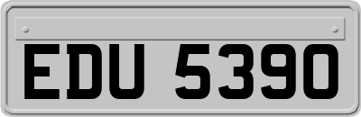 EDU5390