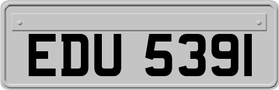 EDU5391