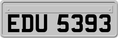 EDU5393