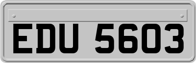 EDU5603