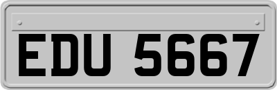 EDU5667