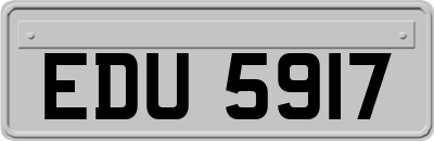 EDU5917