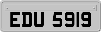 EDU5919