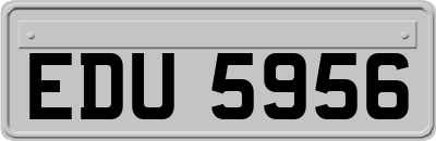 EDU5956