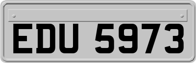 EDU5973