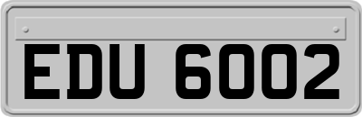 EDU6002