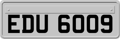 EDU6009