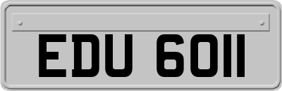 EDU6011