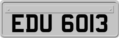 EDU6013