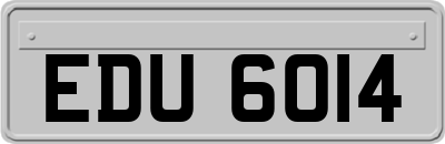 EDU6014