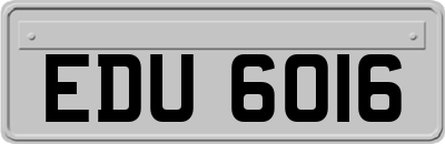 EDU6016