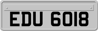 EDU6018