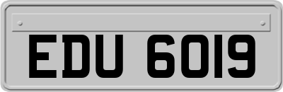 EDU6019