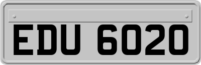 EDU6020