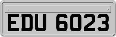 EDU6023