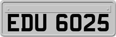 EDU6025