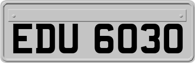 EDU6030