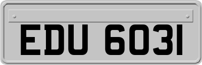 EDU6031