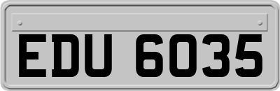 EDU6035
