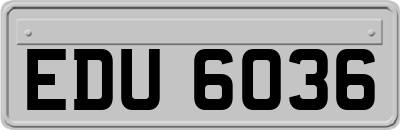 EDU6036