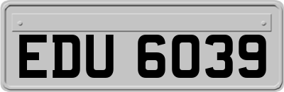 EDU6039