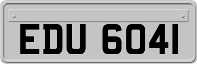 EDU6041