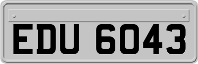 EDU6043
