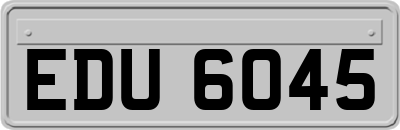 EDU6045