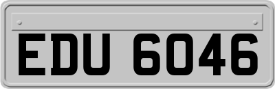 EDU6046