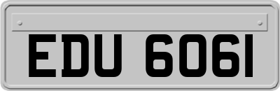 EDU6061