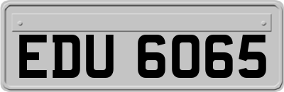 EDU6065