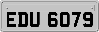 EDU6079
