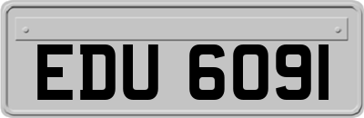 EDU6091