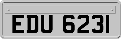 EDU6231