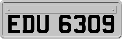 EDU6309
