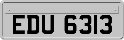 EDU6313