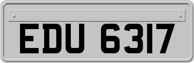 EDU6317