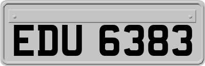 EDU6383